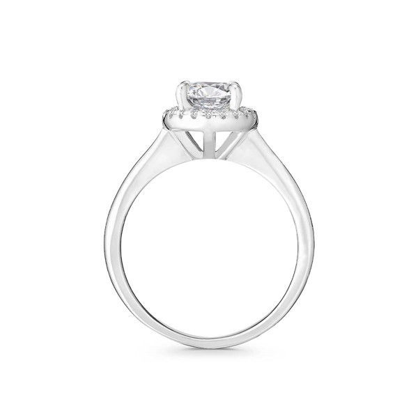 極光之心 鉑金(白金)1克拉 求婚訂婚鑽戒